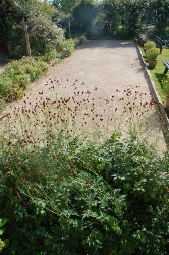 B&B Eenvoud In Overvloed