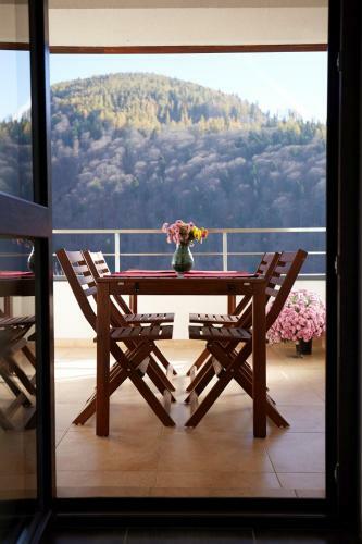 George Apartment Sinaia