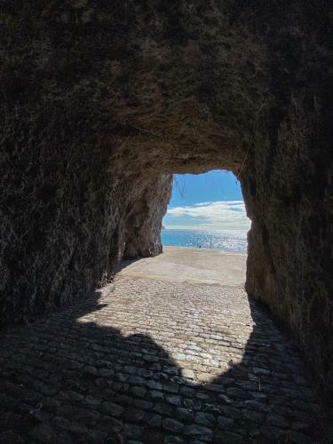 The Palms Apartment