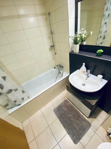 Medv?d�n Apartm�n 106