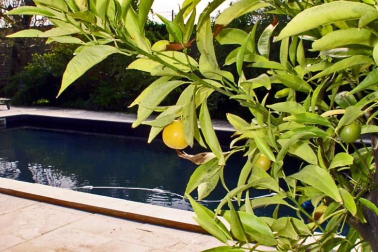 Bed & Breakfast Domaine de Rennebourg