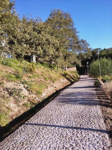 Lodge Ninho Da Av�