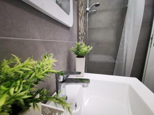 Hostal Vila Roxy