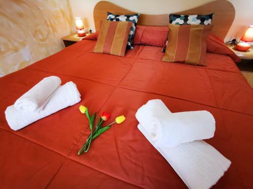 Arka Apartments
