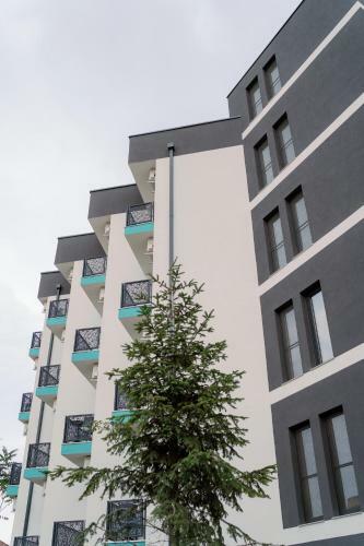 Novus Hotel