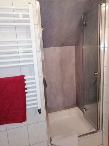 Hostal Gasthof-pension Wilder Mann
