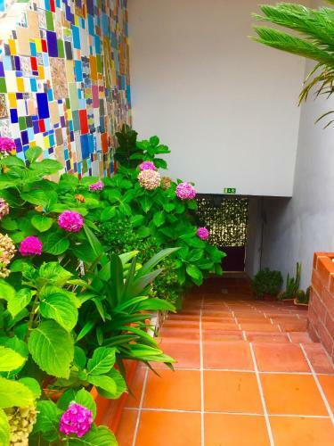 Apartamento Vila Fidalgo