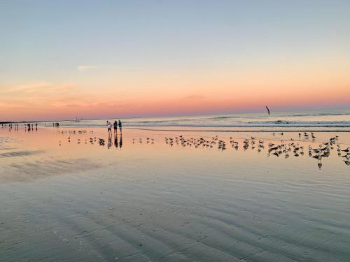 Cape Canaveral Near Beach House