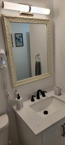 Comfy Apartment Next To Oaks Mall Gainesville
