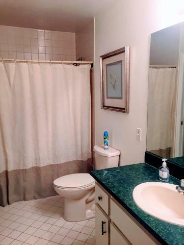 Anchorage St. Pet-friendly Vacation Home