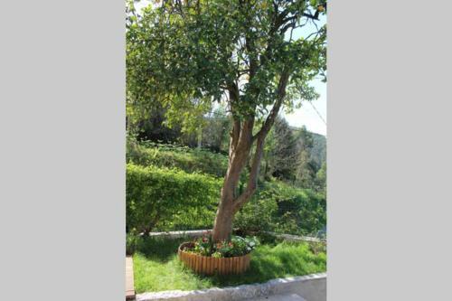 Recanto Tia S�o Magalh�es