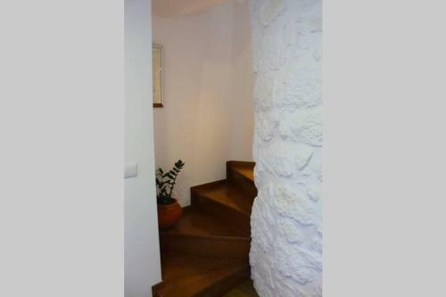 Recanto Tia S�o Magalh�es