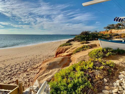 Stylish Apartment Palmyra