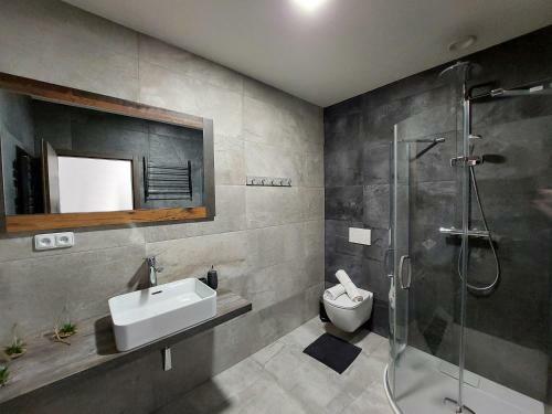 Apartm�n Rezidence Javor ?elezn� Ruda
