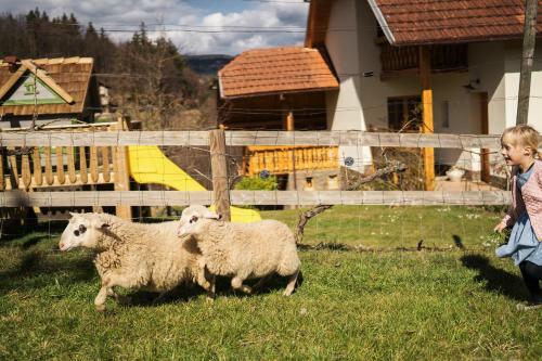 Agroturismo Tourist Farm Ur?ka