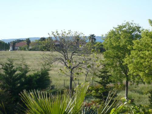 Apartamento Appartement � Carqueiranne