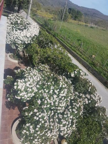 Bed & Breakfast Al Bosco Ficuzza