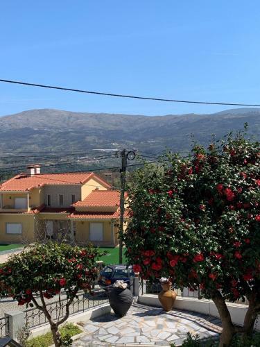 Casa Da Fonte