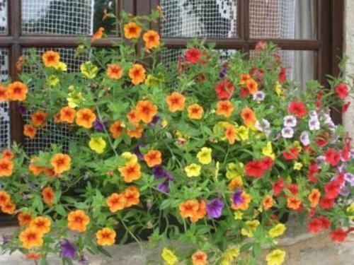 Bed & Breakfast P�rard Chambres D?hotes