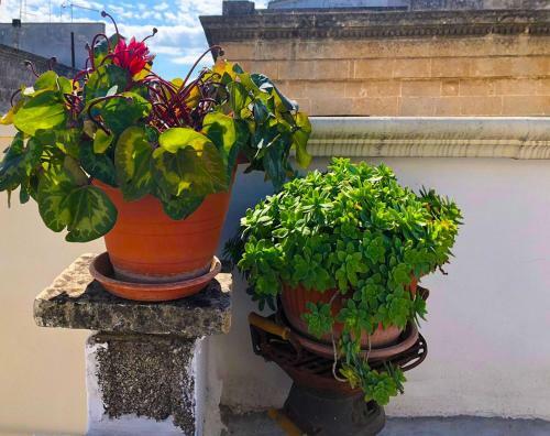 Apartamento La Casa Di Mim�... Calore E Accoglienza!