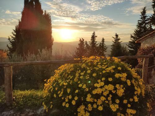 Apartamento Mommialla Il Baluardo