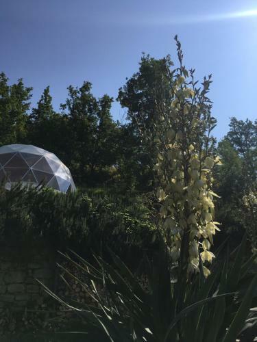 Gaia?s Spheres