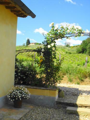 Il Cielo Bio - Il Pi� Piccolo B&B Del Chianti