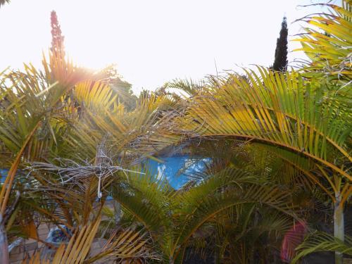 Apartamentos Villa Colon