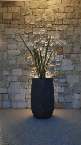 Villa Agave