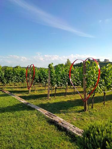 Apartamento Agriturismo Le Ginestre