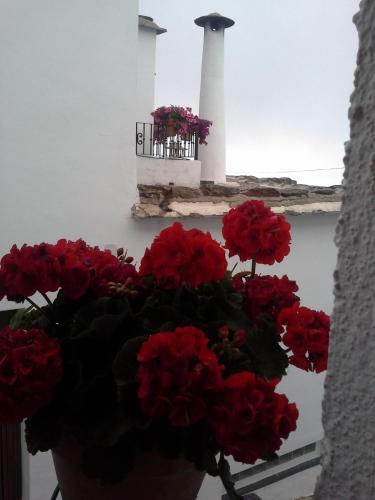 Apartamentos Casalpujarra