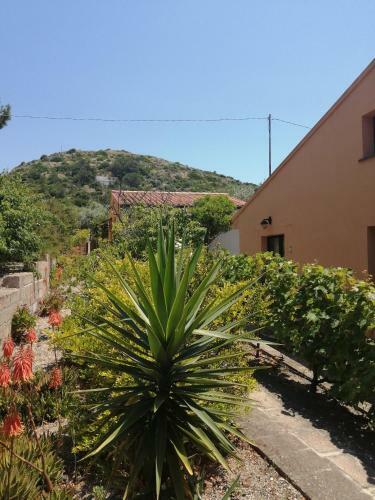 Apartamento Monolocale Zona Mare Pisturri
