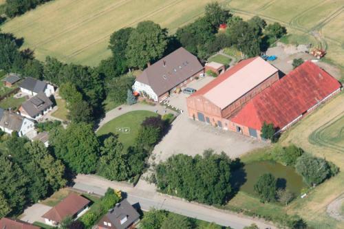 Apartamento Ferienwohnung "m�wennest"