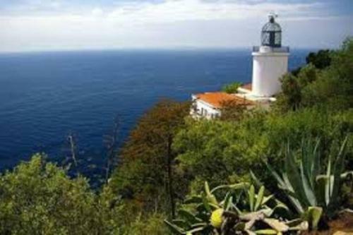 Finca Falguerar, Villa Rural Aislada