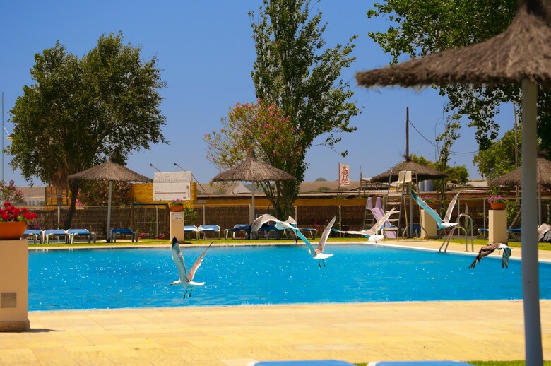 Hotel Puerto Bah�a & Spa