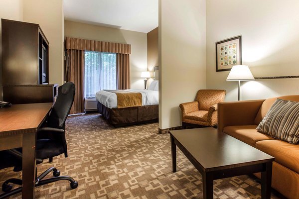Hotel Comfort Suites At Kennesaw State University