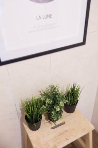 Gom Hostel Dongdaemun 2