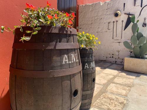 Agroturismo Antica Masseria