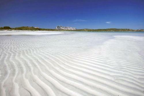 Sardinian Holiday