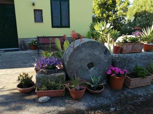 Apartamento L'ulivo In Villa Greco