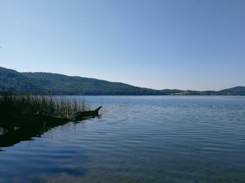 Apartamentos Wandertraum Johann - Fewo Eifel
