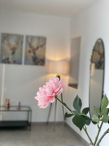 Apartamento Spanien Flair Mitten In K�ln 4