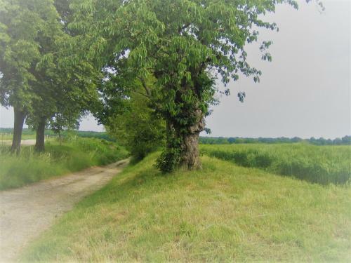 Gutshof Tda-lohma