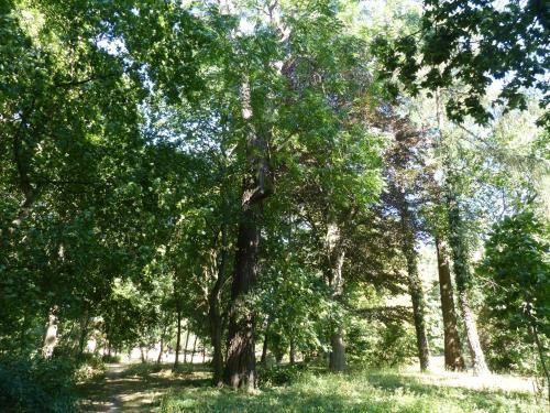 Apartamento Ferienwohnung Mit Brockenblick