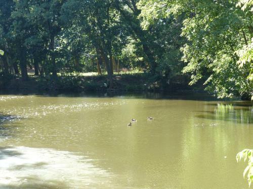 Apartamento Ferienwohnung Mit Brockenblick