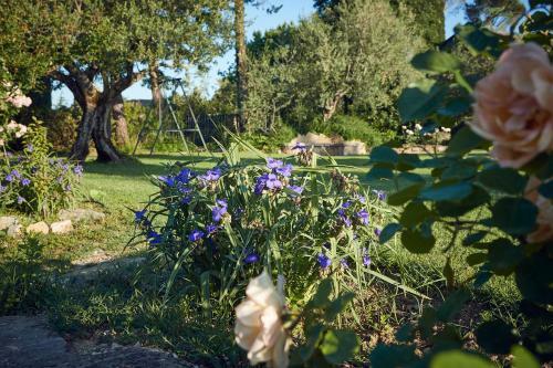Apartamento Le Balze Appartamenti