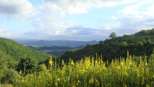 Fattoria Didattica Gli Allori