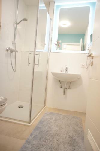 Apartamento Ferienwohnung L�rrach Alice