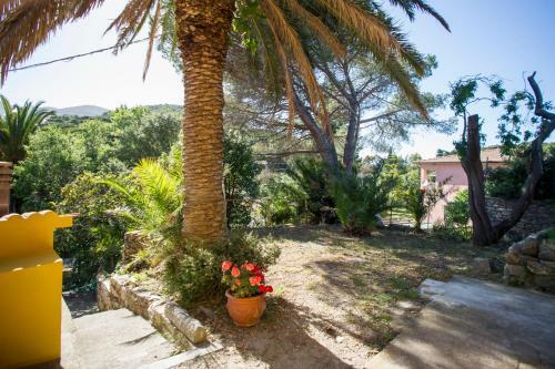 Apartamento Casa Del Colle E Bougainville