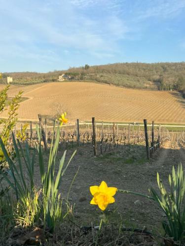 Hotel Locanda Podere Le Vigne
